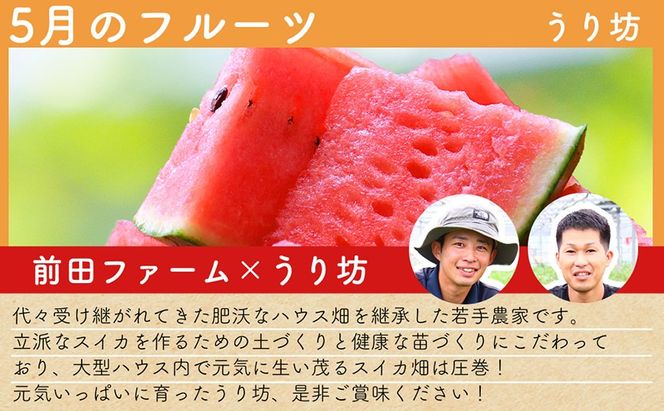DH106 【令和9年度出荷分】【春～夏季】フルーツ定期便（全4回） ハウスびわ 小玉スイカ 小玉メロン 梨 [ 果物 フルーツ びわ すいか メロン ナシ 長崎県 島原市 ]