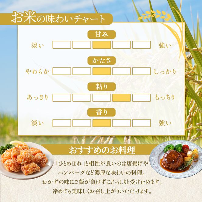 【 令和7年産 】ひとめぼれ 5kg 岩沼産 白米 東北 宮城県産 宮城米