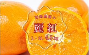 【先行予約】西地農園の麗紅 (れいこう) 4.5kg L・2L【2026年2月初旬から順次発送】 / 麗紅 れいこう 柑橘 みかん ミカン 蜜柑 柑橘 果物 くだもの フルーツ 産地直送 国産 数量限定 ご家庭用 家庭用【mnd007A】