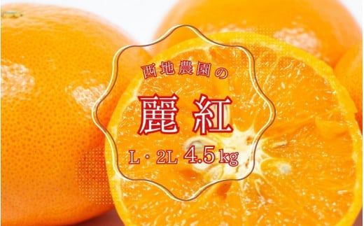 yOdI󒬁zys\zn_̗g (ꂢ) 4.5kg LE2Ly2026N2{珇z / g ꂢ k ݂ ~J  k ʕ  t[c Yn Y ʌ ƒp ƒpymnd007Az