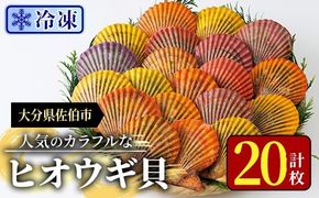 冷凍 ヒオウギ貝 (計20枚) 魚介 貝 ヒオウギ貝 ひおうぎ貝 酒蒸し 網焼き バター焼き バーベキュー 獲れたて 海の直売所 大分県 佐伯市【AS152】【海べ】
