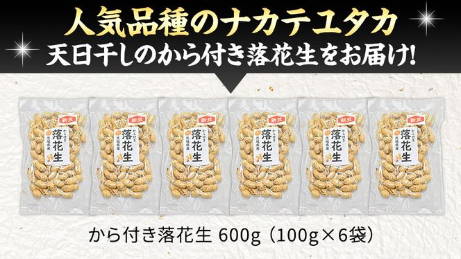 から付き落花生 600g （100g×6袋） 煎りざや落花生 おつまみ おやつ ピーナッツ 殻付き ナカテユタカ [EH22-NT]