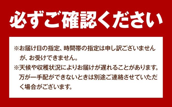 岡山県産 ご家庭用 シャインマスカット 2～3房 約1.2kg 《9月上旬-10月下旬頃出荷》 岡山県 笠岡市 マスカット ぶどう 葡萄 果物 フルーツ【配送不可地域：離島】---H-103---