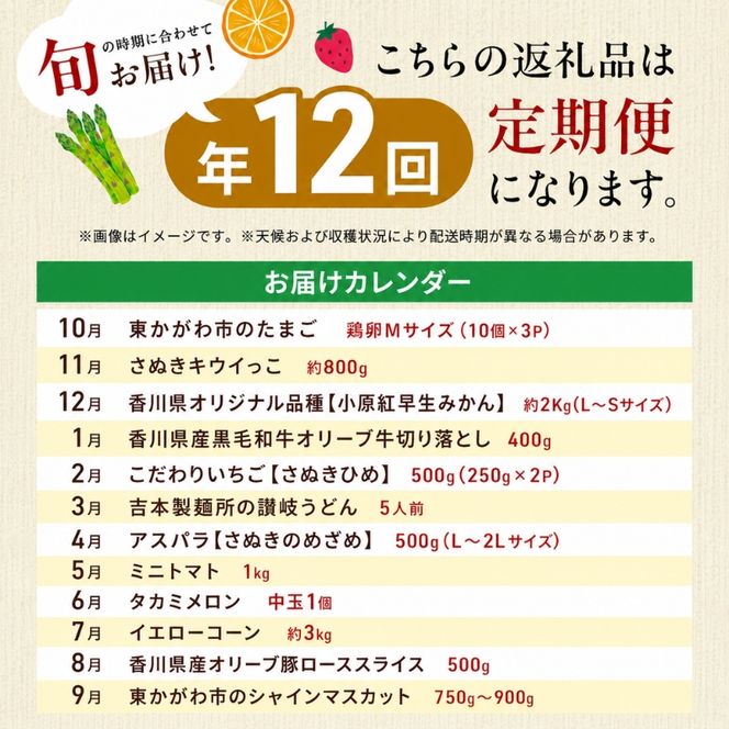 東かがわ市ちょこっと定期便(12回) 卵 キウイ 黒毛和牛 みかん いちご 讃岐うどん アスパラ トマト メロン コーン 豚肉 シャインマスカット 香川