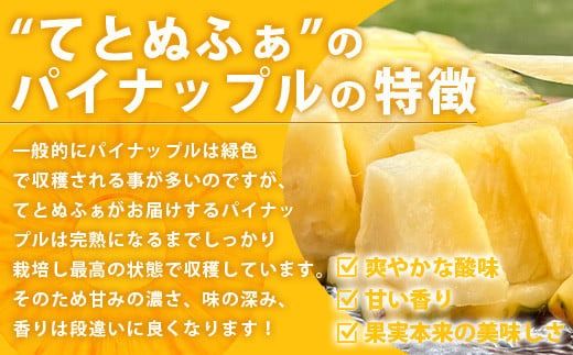 《2026年6月中旬以降発送》島の美味しいを詰め込んだ、パイン＆マンゴーのよくばりセット！【 沖縄県 石垣市 石垣島 完熟 パイン パイナップル スナック マンゴー セット 詰め合わせ 産地直送 】TF-24_R8