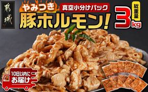 やみつき豚ホルモン!3kg!真空小分けパック!≪みやこんじょ特急便≫_LG8-3303-Q_(都城市) 国産豚 ホルモン 味付き 300g×10P 3kg 小分け 真空パック 豚肉