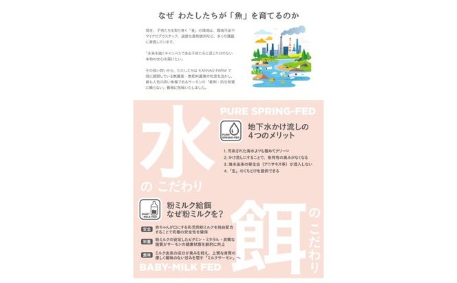 サーモン 朝倉市産 のとりサーモン 200g×5 魚 冷凍 ※配送不可:離島