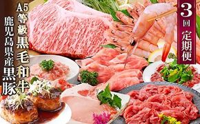 定期便3回配送　黒毛和牛・黒豚&タカエビ　 DD5-0001【1573840】