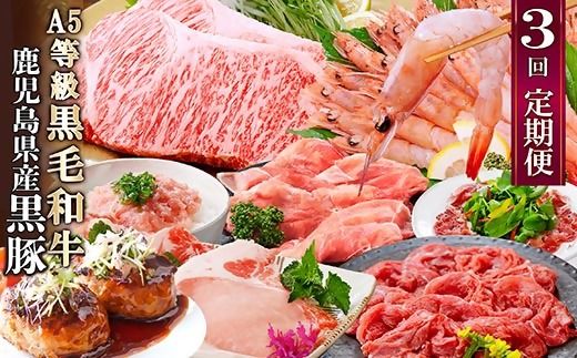 定期便3回配送　黒毛和牛・黒豚&タカエビ　 DD5-0001【1573840】