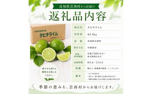 訳あり タヒチライム 約1.6kg ライム サイズおまかせ 国産 種なし 柑橘類 かんきつ類 防腐剤不使用 ノーワックス 新鮮 冷蔵 家庭用 果物 くだもの フルーツ 秋 旬 ジュース カクテル ジンライム 料理 アレンジ 爽やか 芸西村 高知県産