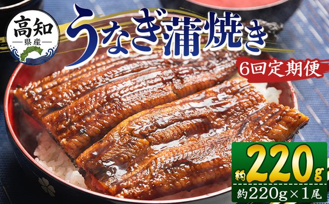 うなぎ 定期便 国産 6回 約220g １尾 蒲焼き 高知県産 養殖 魚介 国産 海鮮 魚 かばやき 鰻 ウナギ 惣菜 おかず お手軽 加工品 加工食品 冷凍 Wfb-0059