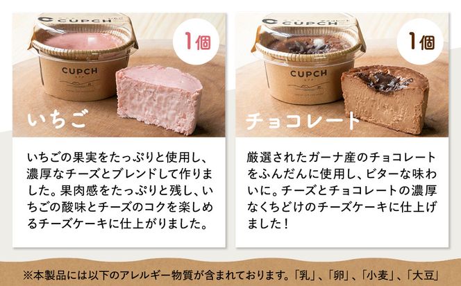 箱根発！なめらか濃厚バスクチーズケーキ 箱根チーズテラス・カプチ 【定番6個セット】 142069_JF001