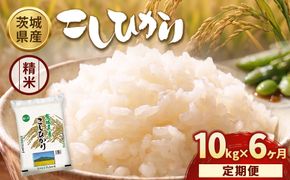 【定期便6ヶ月】【令和8年産】茨城コシヒカリ 10kg（5kg×2袋）【精米】 | お米 米 こしひかり 茨城県産 白米 ブランド米 小分け