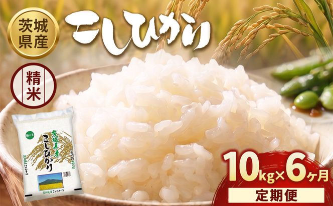 定期便6ヶ月】【令和8年産】茨城コシヒカリ 10kg（5kg×2袋）【精米
