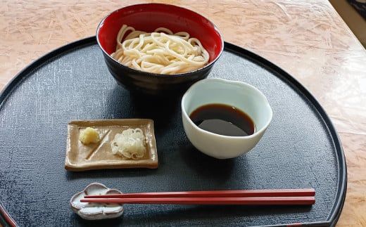 生うどん 100g×5人前×2セット | うどん 10人前 10食 セット 麺 麺類 辛汁 冷凍 茨城県 守谷市
