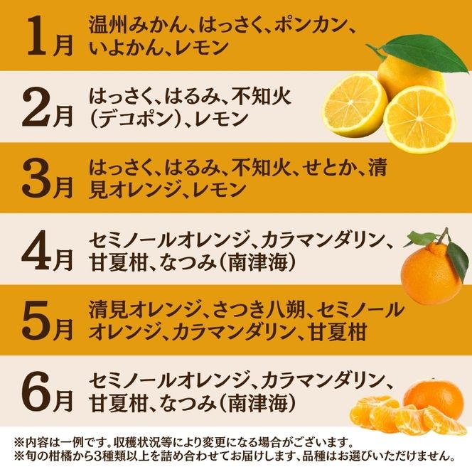 家庭用 柑橘詰合せ1kg+250g（傷み補償分）【訳あり・わけあり】【有田の春みかん詰め合わせ・フルーツ詰め合せ・オレンジつめあわせ】【光センサー選別】【ikd184B】