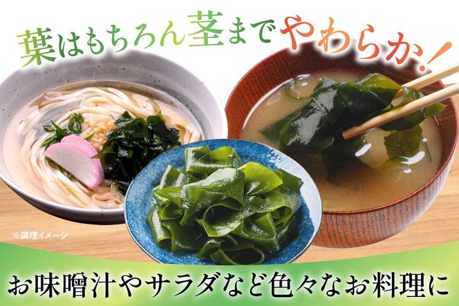 【漁師さんからのおすそわけ】新芽わかめ 300g(約100g×3袋) [かわむら家 宮城県 気仙沼市 20564375] わかめ ワカメ 若芽 海藻 国産 三陸 味噌汁 小分け 三陸わかめ