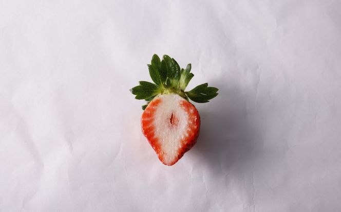 【先行予約受付中】【2027年1月10日～2月上旬順次発送】福岡県産いちご「あまおう」270g×2パック【hurrah.】_HA1971