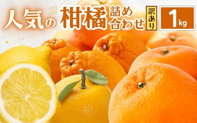 ya̎RI쒬zƒp kl1kg+250giݕ⏞jy󂠂E킯zyLc̏t݂lߍ킹Et[clߍEIW߂킹zyZT[Iʁzyikd184Bz