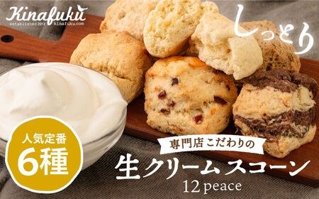 スコーン の イメージ が変わる! 定番 スコーン 12個セット 糸島市 / キナフク 焼き菓子 焼菓子 洋菓子 スイーツ パン [AFA001] 洋菓子 卵不使用 スコーン お菓子 自宅用 個包装 セット 詰め合わせ 人気