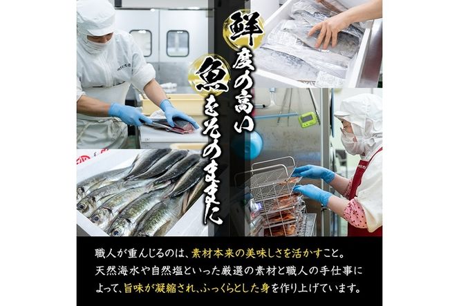 ＜定期便・全12回 (毎月)＞訳あり 干物大満足BOX (40尾以上) 定期便 簡単 調理 干物 あじ かます さば いわし みりん干し 丸干し 開き 魚 海鮮 冷凍 詰め合わせ セット 大分県 佐伯市【AQ91】【(株)やまろ渡邉】
