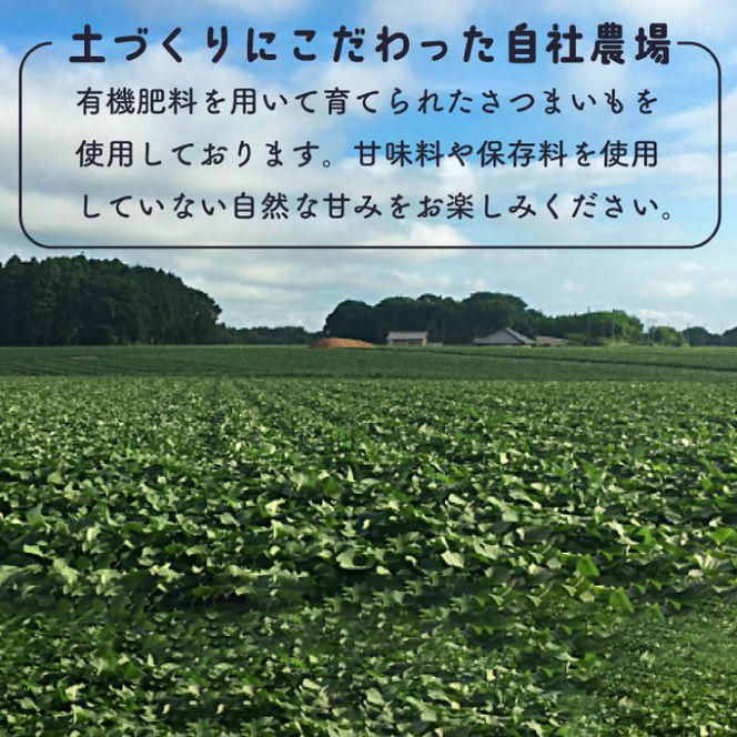 DK-3　【芋屋久兵衛】〈訳あり　シロタ〉茨城県産紅はるか干しいも500ｇ×２袋