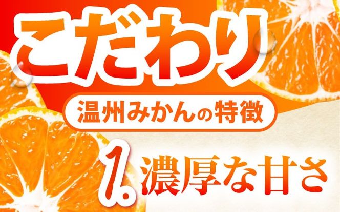 【2026年10月下旬～発送】【2回定期便】温州みかん 食べ比べ 10kg×2回 / みかん 青島みかん ミカン 蜜柑 甘い フルーツ 果物 / 南島原市 / 蜜柑屋まつお[SCQ004]