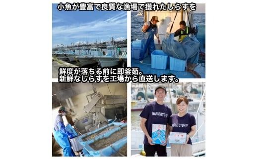 選べる しらす 1kg ～ 2kg 釜揚げしらす 島の工場から直送 愛知県 日間賀島産 減塩 冷凍 丸豊 魚 さかな ご飯 ごはん 国産 シラス 離乳食 人気 おすすめ 愛知県 南知多町