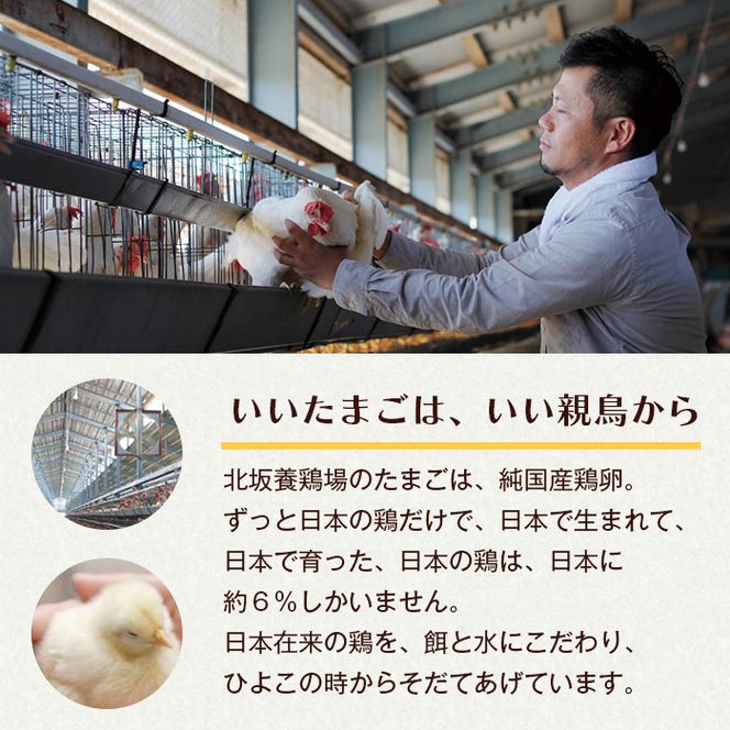 卵　淡路島もみじ・淡路島さくら　詰め合わせ