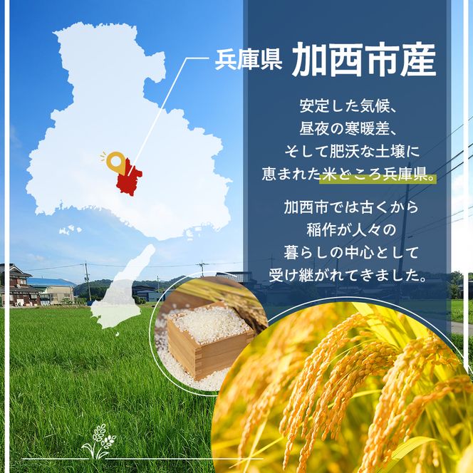 米 令和8年産 先行受付 しきゆたか 白米 5kg《2026年11月発送》 お米 精米 単一原料米 お弁当 おにぎり 冷めても美味しい 農業支援 就労者支援 日用品