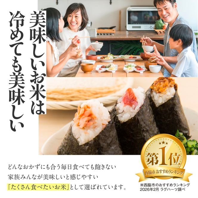 【令和６年産 コシヒカリ】白米10kg（10kg×1袋）2024年産(26-21)米 お米 米10kg お米10kg 兵庫県産 こしひかり コシヒカリ 西脇市産 令和６年産 R６年産 2024年産 精米