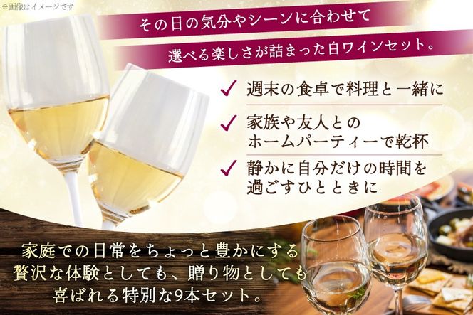 ワイン 白ワイン好き必見！お得な白ワイン9本 飲み比べセット 750ml×8本 720ml×1本 [株式会社まあめいく 山梨県 韮崎市 20745324] ワイン Wine わいん 白ワイン 飲み比べセット お酒 酒 山梨ワイン セット