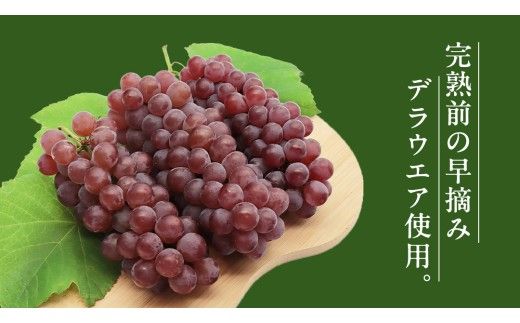 青デラ 750ml ワイン 白ワイン 白 酒 牛久シャトー デラウエア