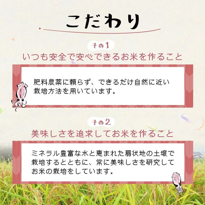 【訳あり】ほたるいか米（精米20kg）×12回 計240kg【12ヶ月定期便】