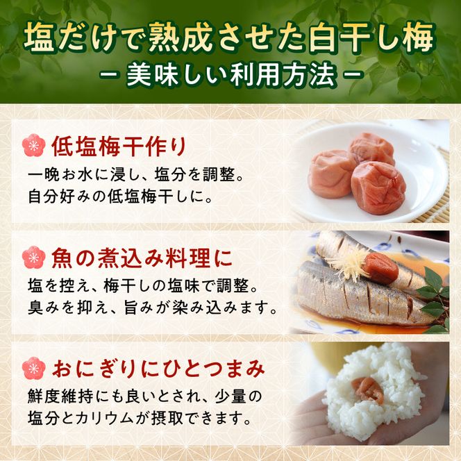 KS1002_梅干し 訳あり昔ながらの塩だけ梅干し 塩分20% 約1kg