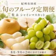 定期便 8・9月発送 紀州有田産旬のフルーツセット（梨×3玉 化粧箱入・シャインマスカット×2房（約1kg〜1.4kg））  	AN070