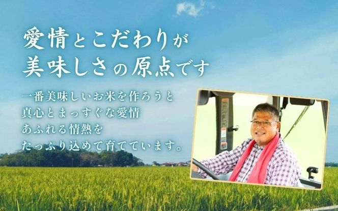 【令和7年産】 真庭市産コシヒカリ 米ぬか 牡蠣栽培米 『 一心良米 』 白米 20kg (5kg×4袋） / お米 いっしんりょうまい 岡山県 こしひかり 人気 ブランド 2025年産 【tkns013-01-cho】