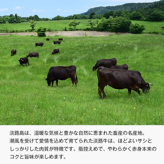 【定期便3ヶ月】淡路牛 赤身三種食べ比べ（すき焼き・ステーキ・焼肉） 定期便