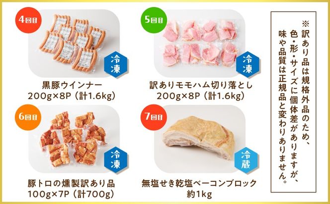 【全7回】盛りだくさん定期便（偶数月にお届け）　K161-T06e