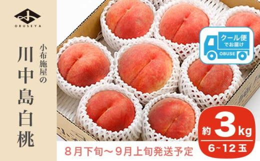 川中島白桃 約3kg 6～12玉 ［小布施屋］ 桃 白桃 もも モモ フルーツ 果物 令和8年産 【2026年8月下旬～9月上旬発送】［A-6］