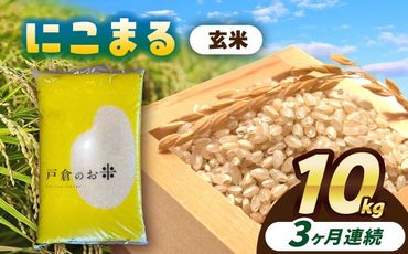 【3回定期便】にこまる　玄米　10kg　お米　ご飯　愛西市／株式会社戸倉トラクター[AECS070]