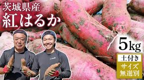 【 先行予約 】 茨城県産 さつまいも 5kg （ 紅はるか ） 土付き ・ サイズ 無選別 【10月下旬より順次発送】 土 土付き 土つき 高糖度 茨城 自然栽培 サツマイモ 芋 国産 おいしい [DE01-NT]