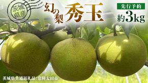 【 先行予約 】茨城県産 『幻の梨』 秀玉 約 3kg 7玉～9玉 ( 茨城県共通返礼品 : 常陸太田市 ) 【 2024年 9月上旬頃より発送 】 フルーツ 果物 国産 日本産 梨 ナシ なし 和梨 期間限定 数量限定 [EN005us]