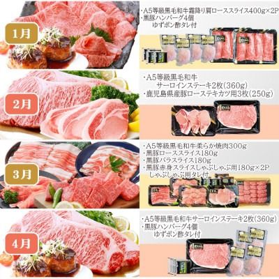 定期便(12回配送)枕崎お楽しみ便(A5等級黒毛和牛・黒豚・黒豚加工品・さつまあげ等)JJ-6003 【1166754】