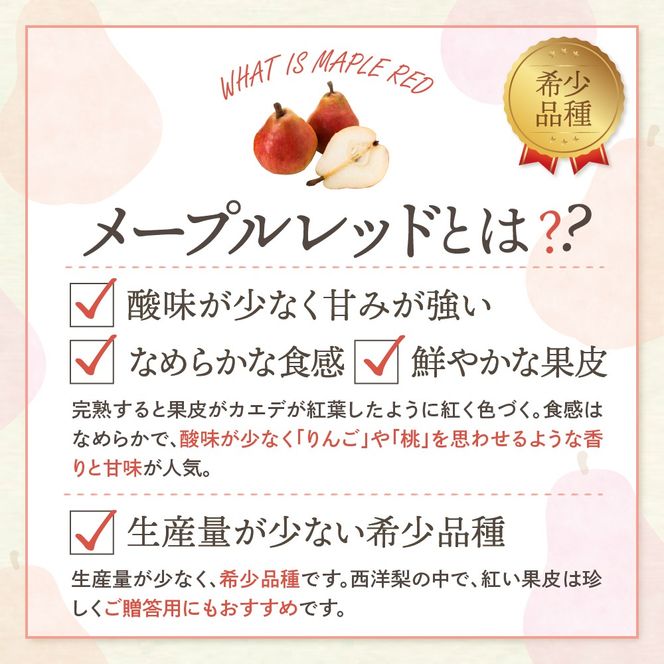 【令和6年産 先行予約】西洋梨メープルレッド2kg　秀品　化粧箱入り 山形県 東根市 東根農産センター提供 hi027-140