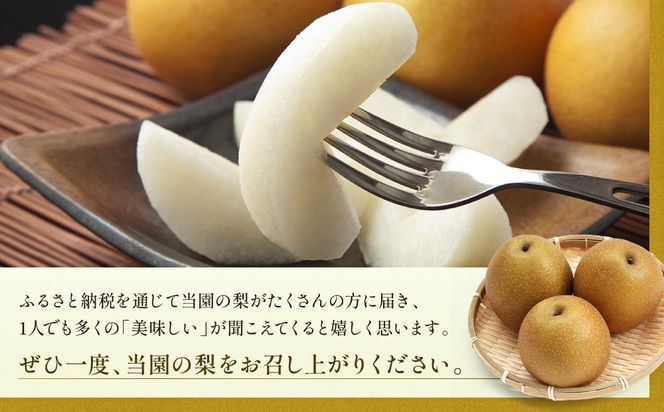 【先行予約】岸田秀果園 王秋 (ギフト用)5kg 313726_CY016
