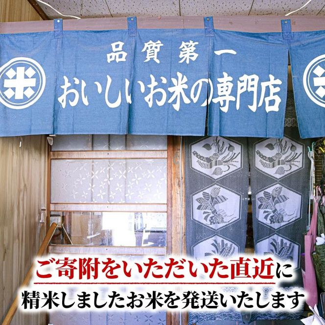 令和8年産 新米 ひとめぼれ 5kg 岩手県産 米 白米 はくまい コメ rice ごはん 常温 常温保存 保存 農家 農作物 栄養 夕飯 大船渡 三陸 岩手県 国産