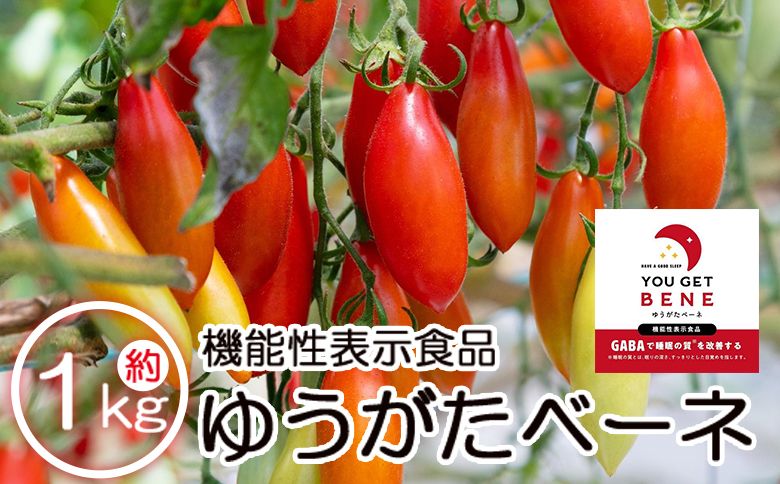 トマト [先行予約]機能性表示食品 ミニトマト ゆうがたベーネ 1kg - ミニトマト プチトマト フルーツトマト ギフト のし対応 高糖度 お歳暮 御歳暮 贈答用 贈り物 is-0013
