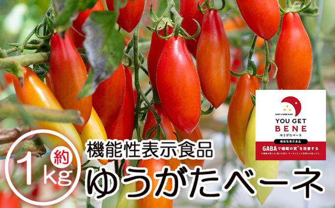 ymszys\z@\\Hi ~jg}g 䂤x[l 1kg - ~jg}g v`g}g t[cg}g Mtg ̂Ή x Ε Ε p 蕨 is-0013