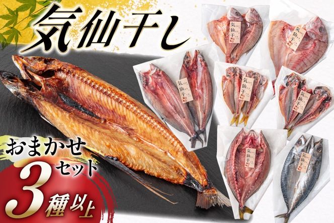 y{錧Csz C励 ܂Zbg 3 [CsYU {錧 Cs 20565585]    J ቷ Ⓚ